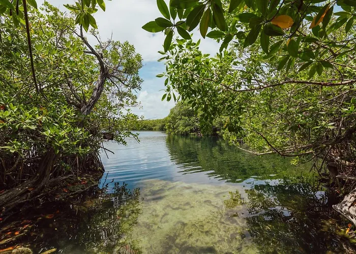 Lodge Yaxchen & Cenote *