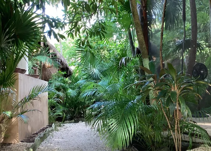 Lodge Yaxchen & Cenote Tulum